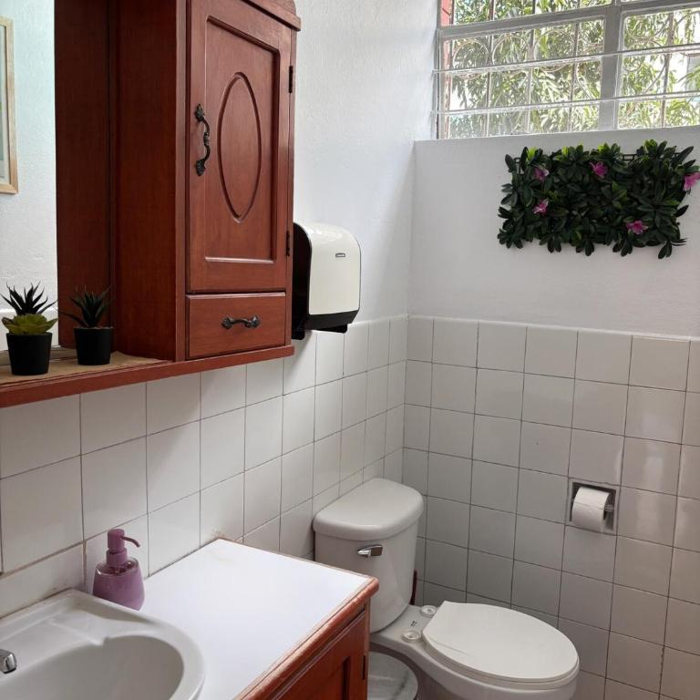 Mapacho House - Apartamento de 2 dormitorios - 20
