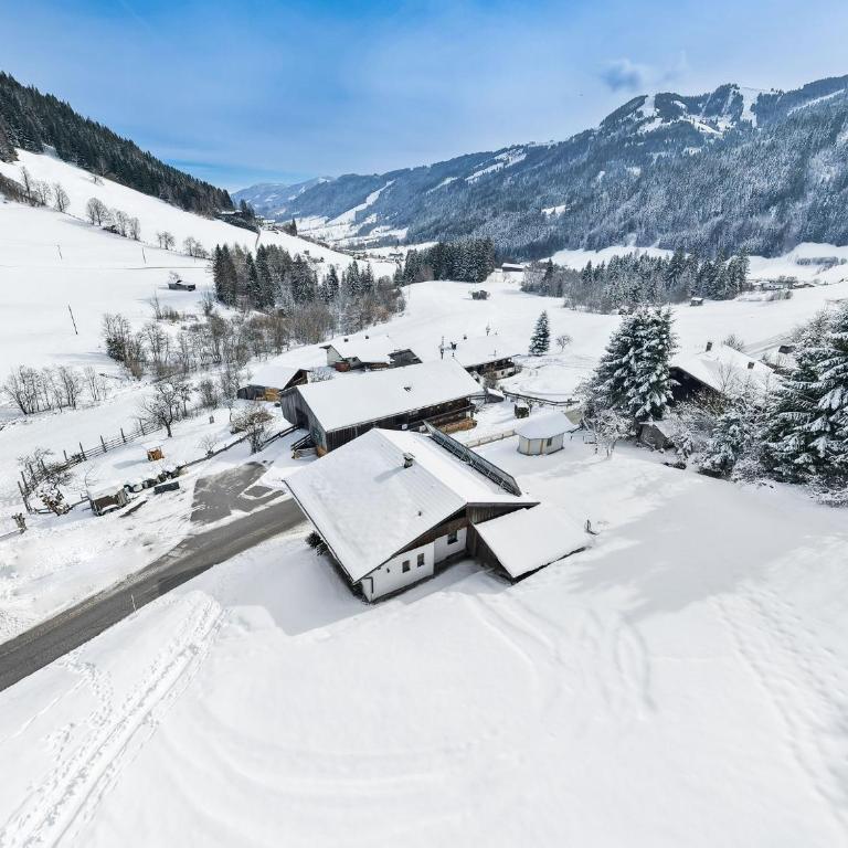 ZuHaus Gruab - Dog Friendly Tyrolean Apartment with fireplace Wildschönau Premiumcard - Apartment mit 1 Schlafzimmer, Balkon und Bergblick - 42