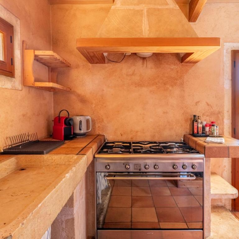 Finca Agroturismo Sa Cova den Borino - Studio with Terrace - 1