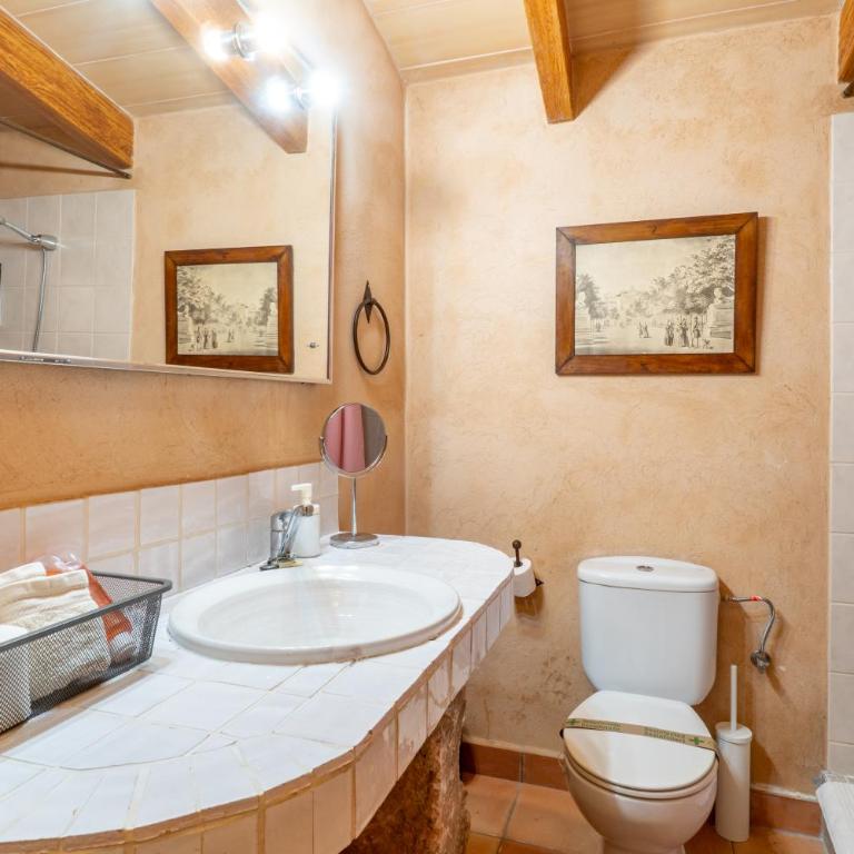 Finca Agroturismo Sa Cova den Borino - Studio with Terrace - 3