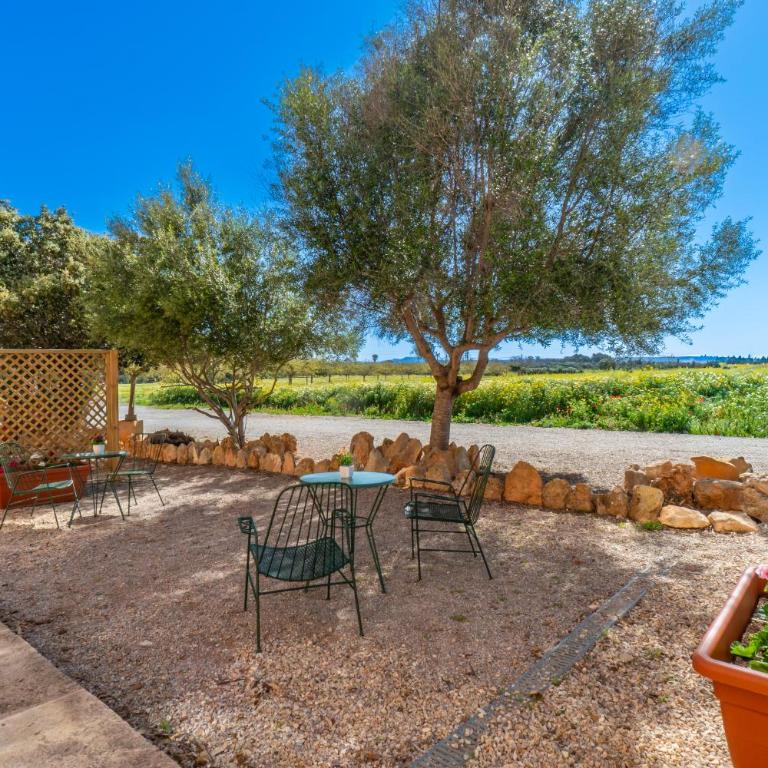 Finca Agroturismo Sa Cova den Borino - Appartement 3 Chambres avec Terrasse - 7