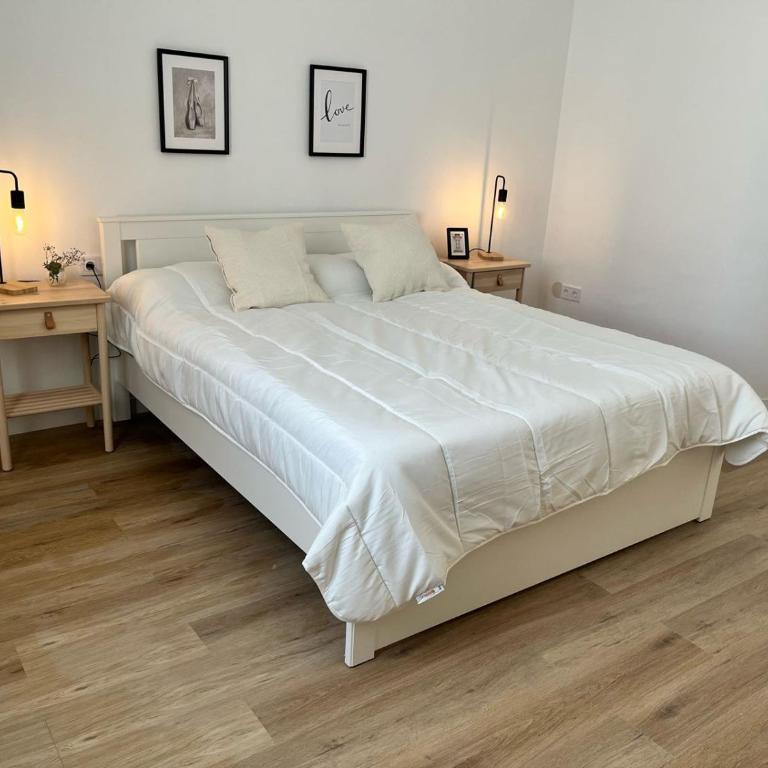 Gran apartamento Larios - Apartamento - 28