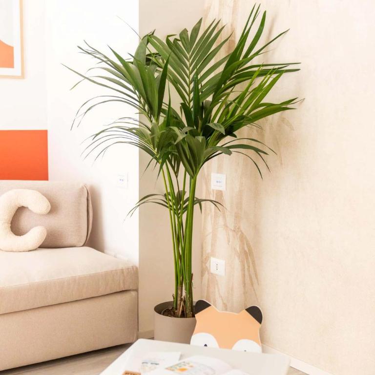 Vibra Tahiti Comfort - Appartamento con 3 Camere da Letto - 40