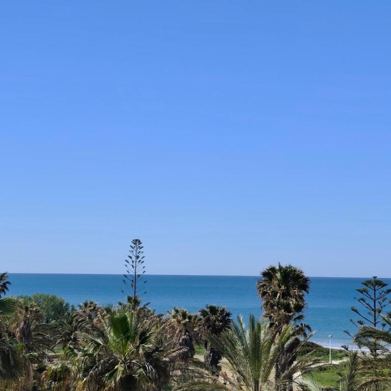 Bogavante Costa Ballena - Apartamento de 2 dormitorios - 39