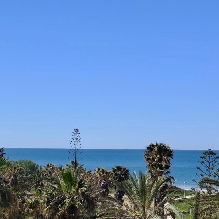 Bogavante Costa Ballena - Apartamento de 2 dormitorios - 2