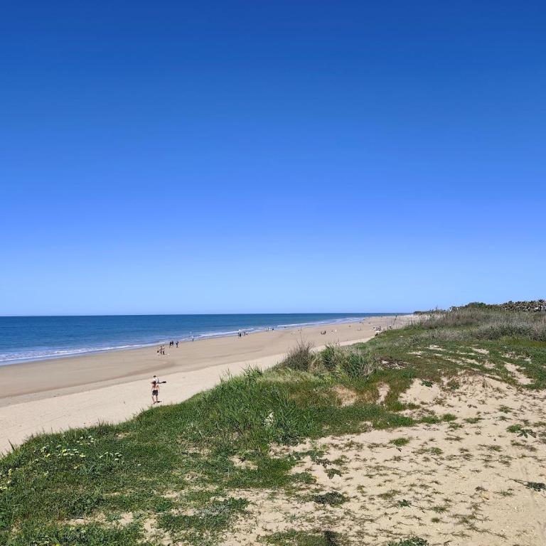 Bogavante Costa Ballena - Apartamento de 2 dormitorios - 42
