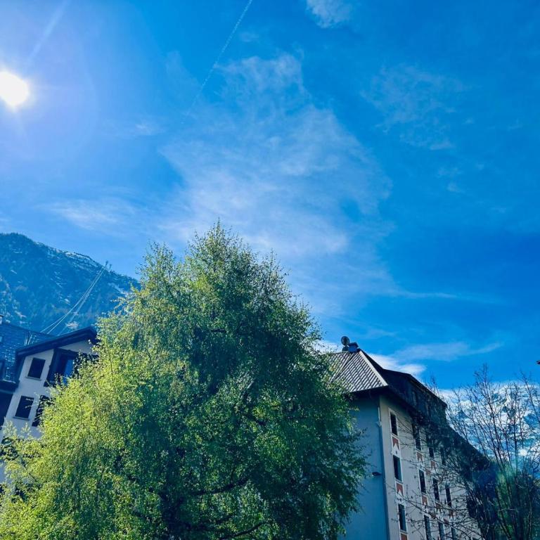 Joli appartement Aiguille du Midi - Appartement 1 Chambre - 20