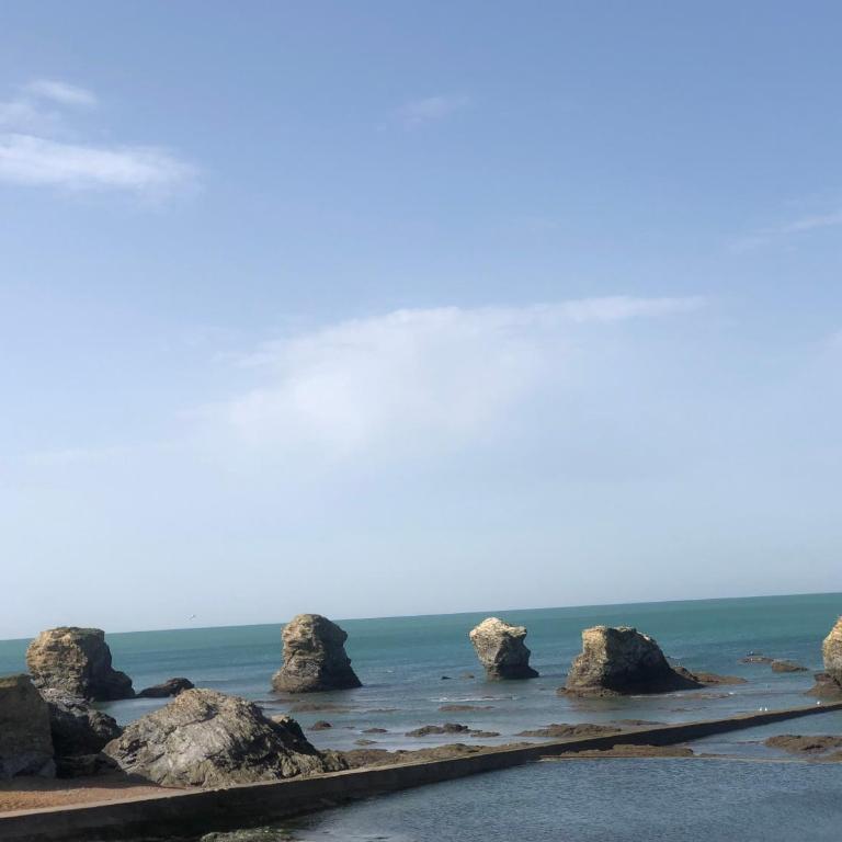 Super T2 à 2 pas des plages face océan et parking privé - Appartamento con 1 Camera da Letto - 25