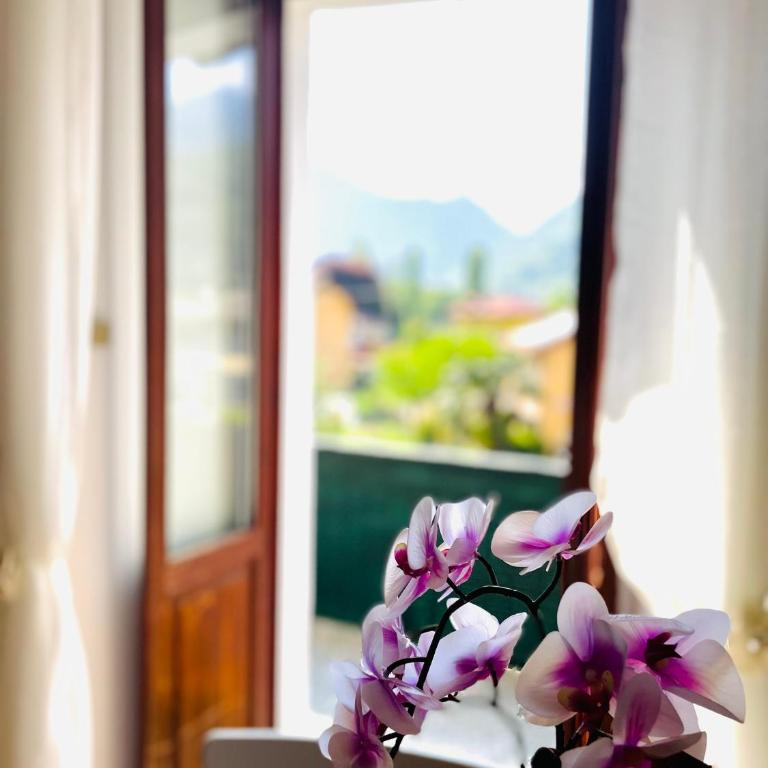 Vanda Lake House - Appartamento con 1 Camera da Letto con Vista - 17