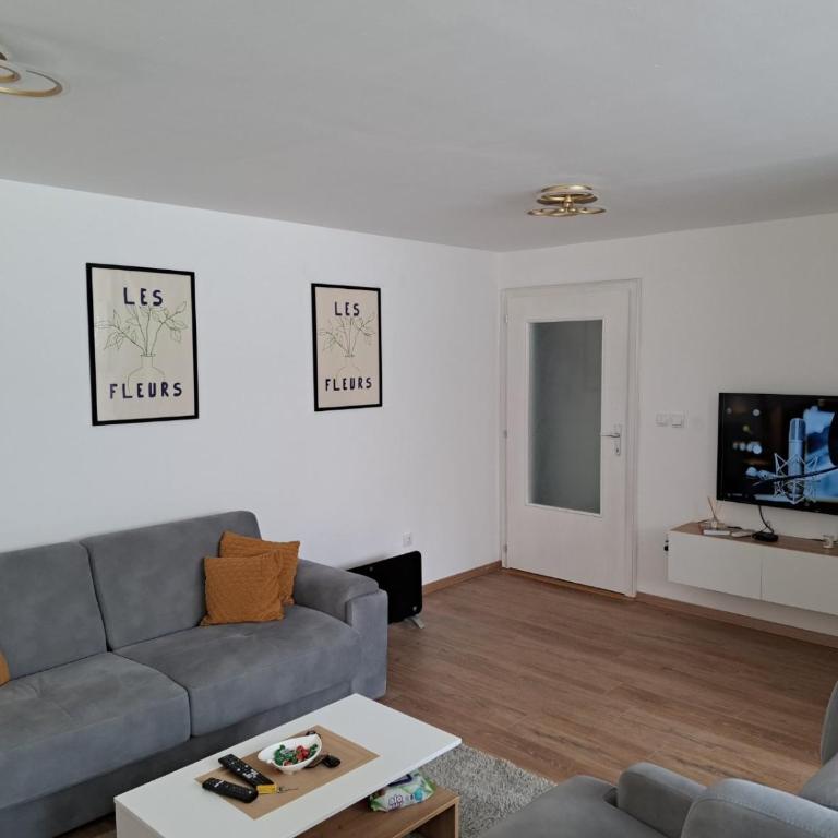 Beba Apartman - Apartman sa 1 Spavaćom Sobom - 5