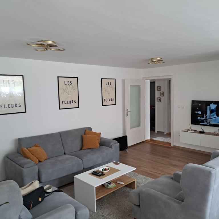 Beba Apartman - Apartman sa 1 Spavaćom Sobom - 9