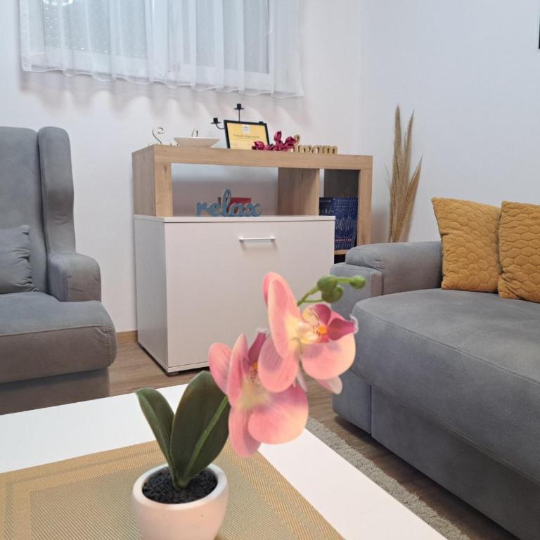 Beba Apartman - Apartman sa 1 Spavaćom Sobom - 10