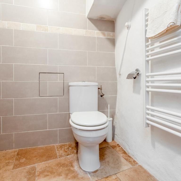 Charming 1750 Stonehouse Saint Rémy - Maison 1 Chambre - 20