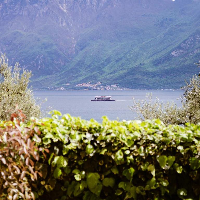 Hotel Mercedes - Camera Matrimoniale con Vista Giardino - Dependance - 5