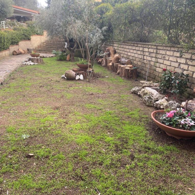 Loft con giardino in zona Appia Antica - One-Bedroom Apartment - 1