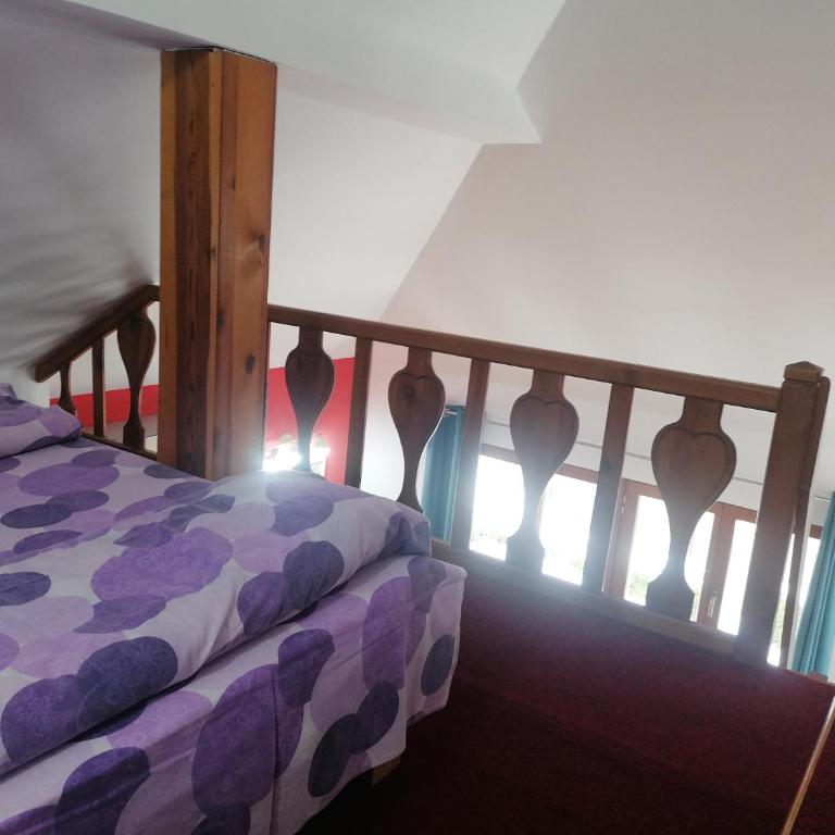 Apartman Beli Bor Vila Mir - Apartman sa 1 Spavaćom Sobom - 5