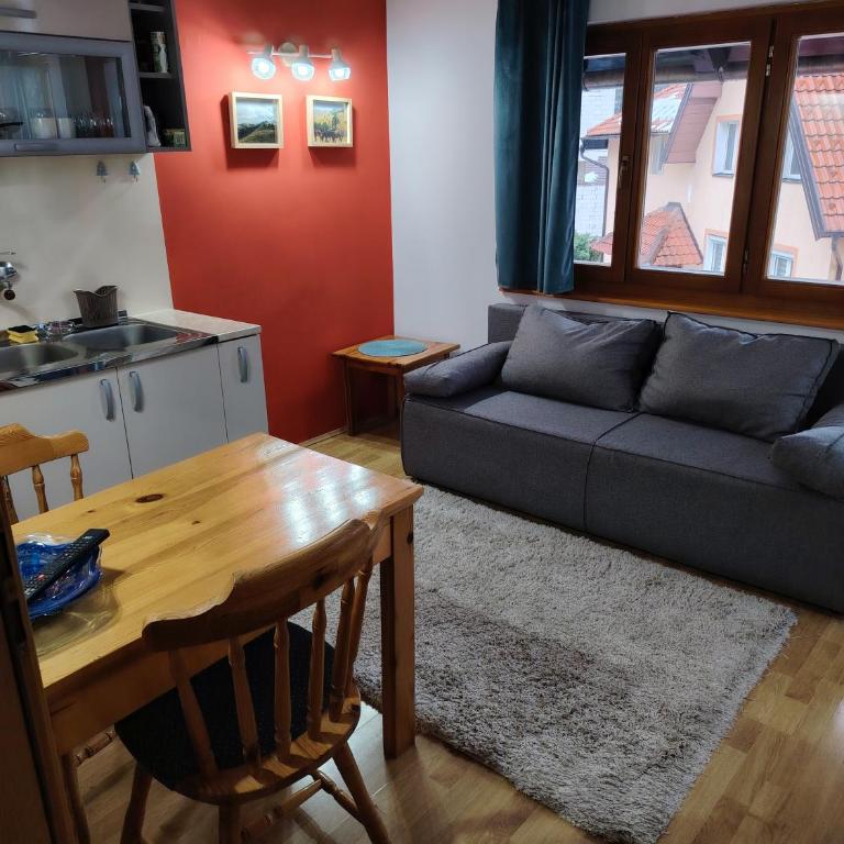 Apartman Beli Bor Vila Mir - Apartman sa 1 Spavaćom Sobom - 6