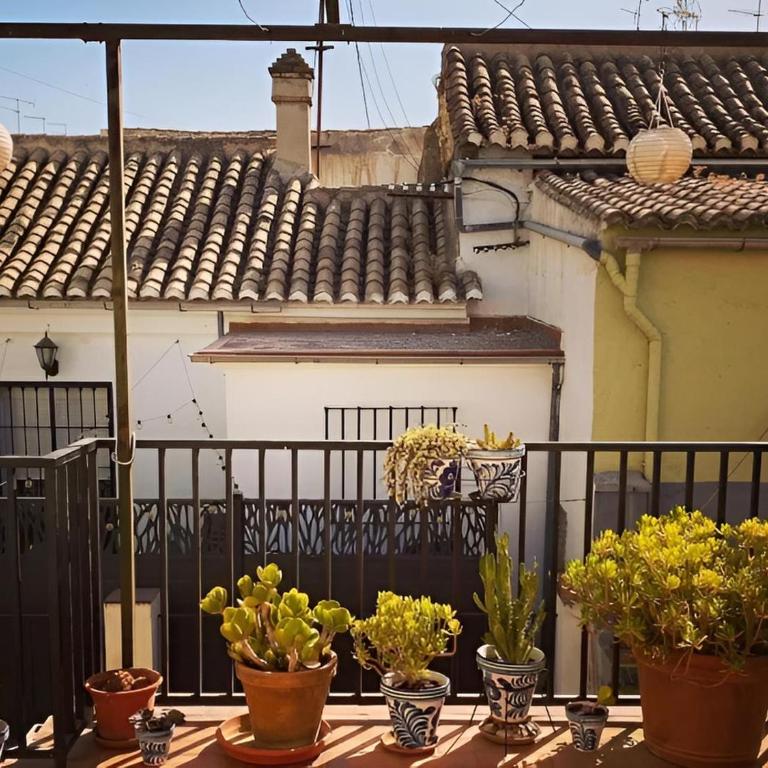 Apartamento con Terraza - Centro de Granada - Two-Room Apartment - 3