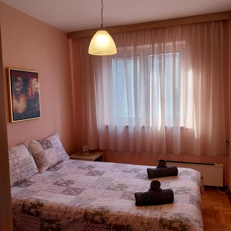 Apartman Petar 1 - Apartman sa 1 Spavaćom Sobom - 1