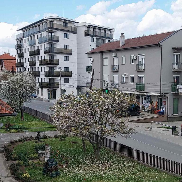 Apartman Petar 1 - Apartman sa 1 Spavaćom Sobom - 4