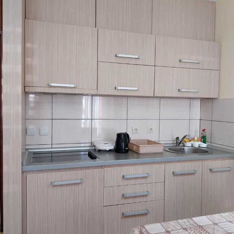 Apartman Petar 1 - Apartman sa 1 Spavaćom Sobom - 10
