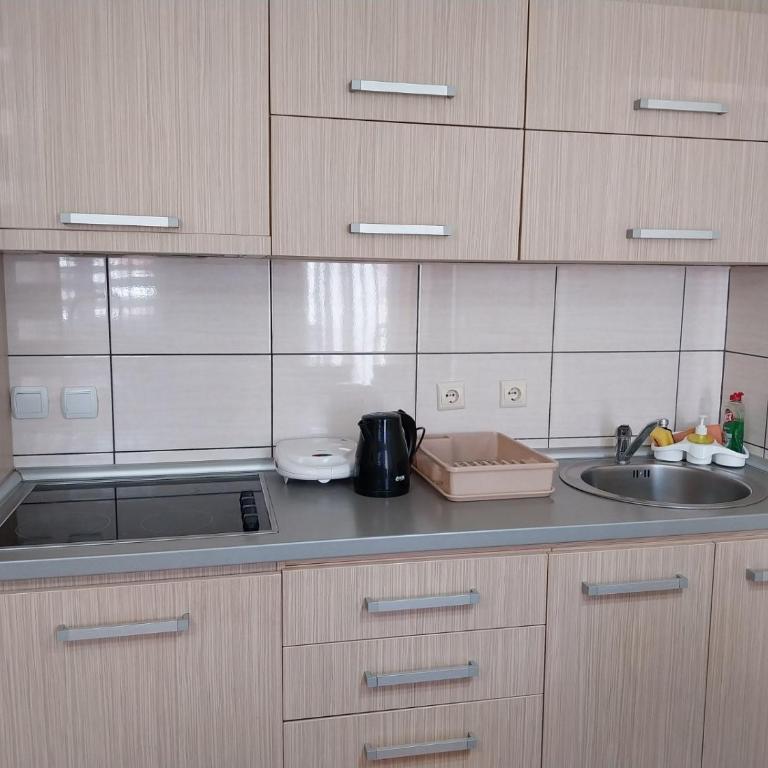 Apartman Petar 1 - Apartman sa 1 Spavaćom Sobom - 13