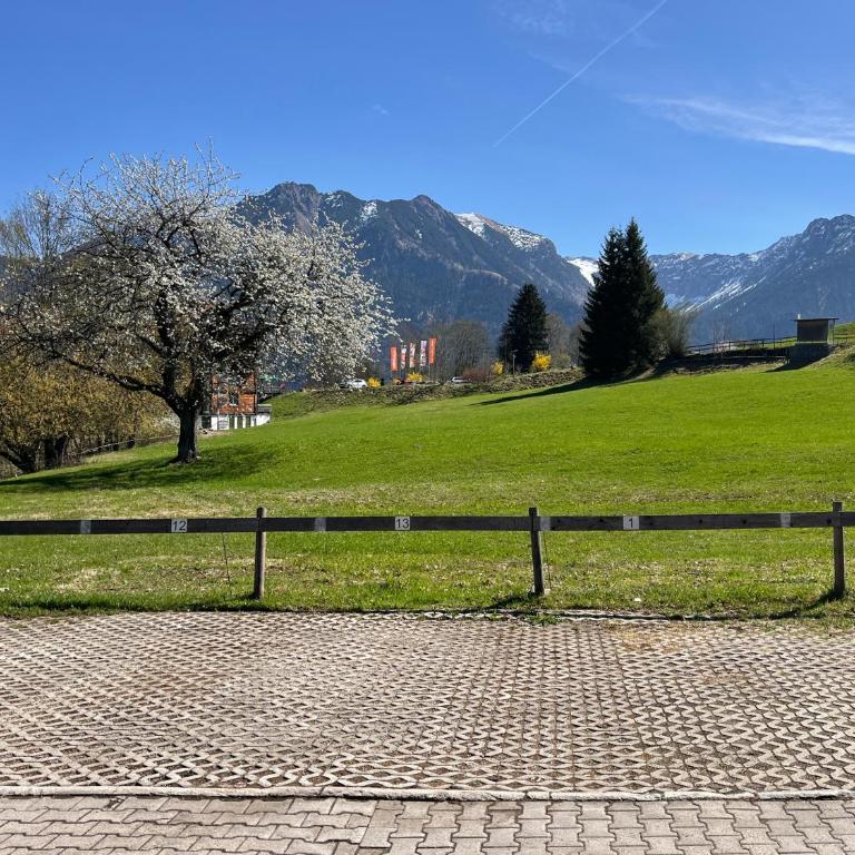 27 BERGFEX Bach Nr 3 mit Sommer-Bergbahnticket - Apartment mit 1 Schlafzimmer - 13
