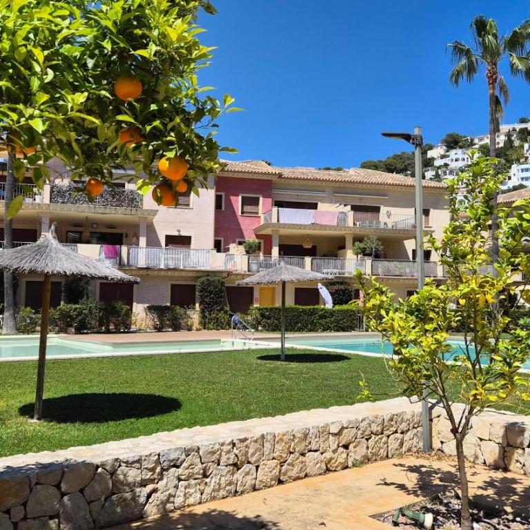 Orange tree - Apartamento de 2 dormitorios - 46