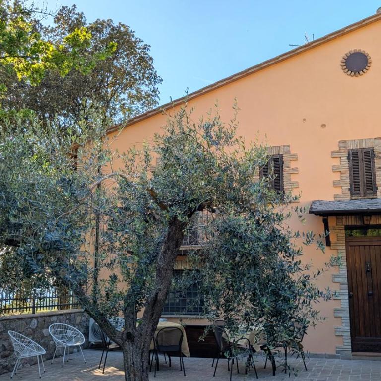 L'Agrifoglio di Assisi Residenza di Campagna - Casa Vacanze - 21