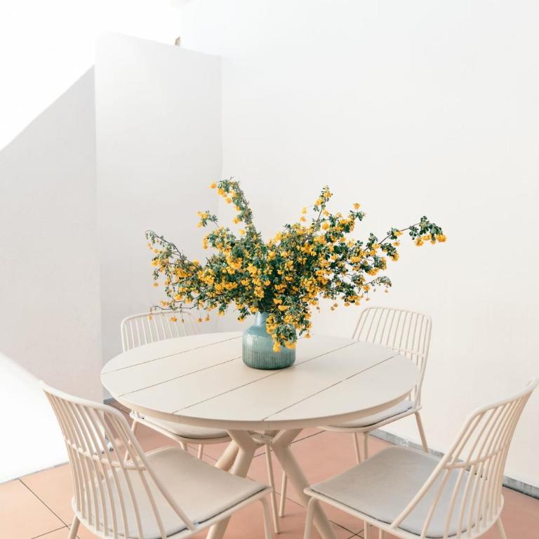 Saint Roch Dvert - Appartement 1 Chambre - 1