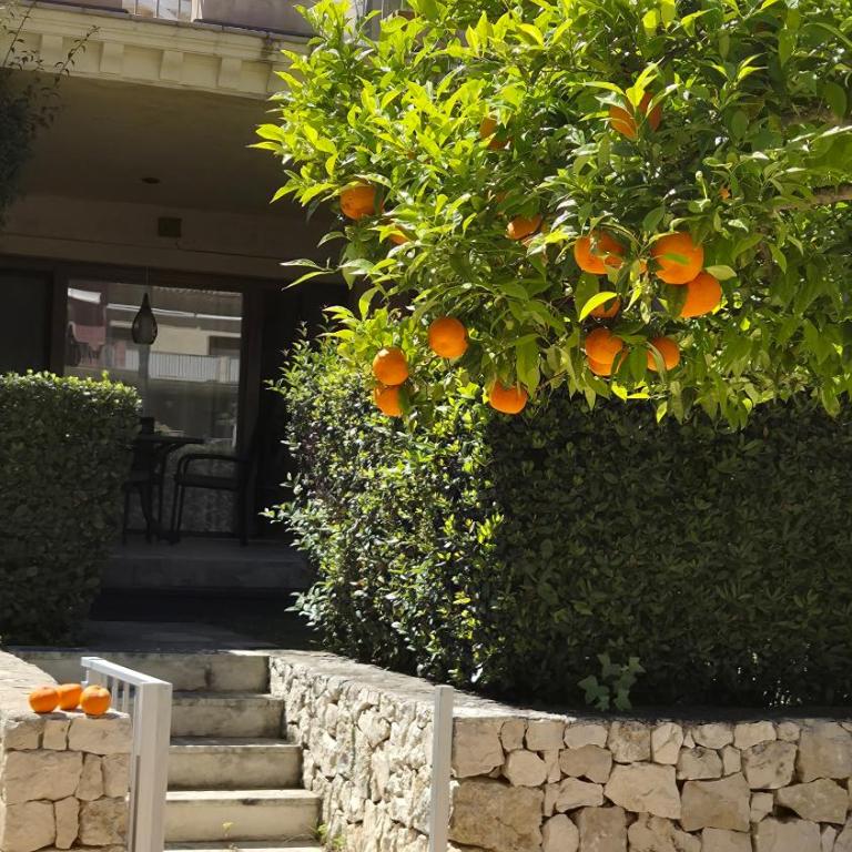 Orange tree - Apartamento de 2 dormitorios - 4