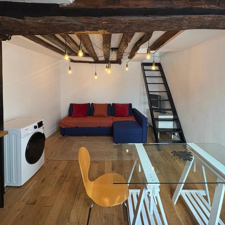 Studio sous les toits - Appartamento con 1 Camera da Letto - 1