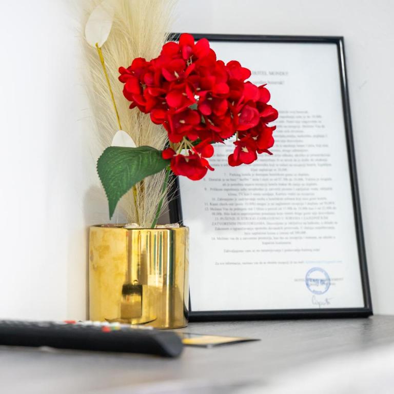 Hotel Mondo - Deluks Dvokrevetna Soba sa Bračnim Krevetom i Balkonom - 9