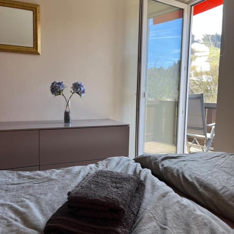 Ferienwohnung Olympiablick - Bergpanorama - Appartamento con 1 Camera da Letto - 48