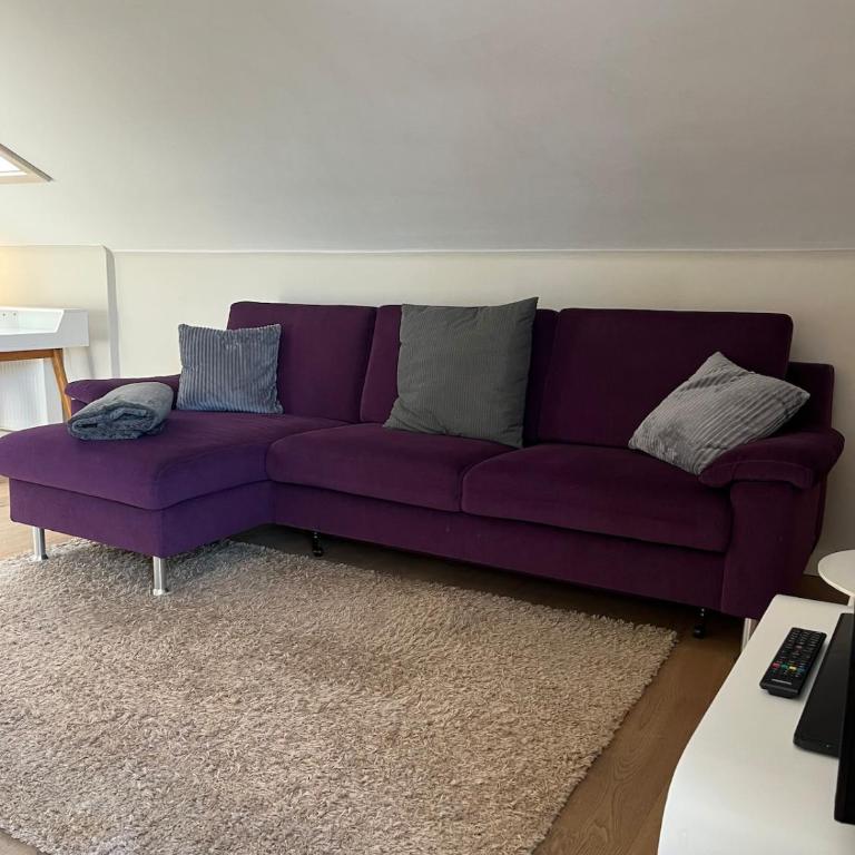 Ferienwohnung Olympiablick - Bergpanorama - Appartamento con 1 Camera da Letto - 33