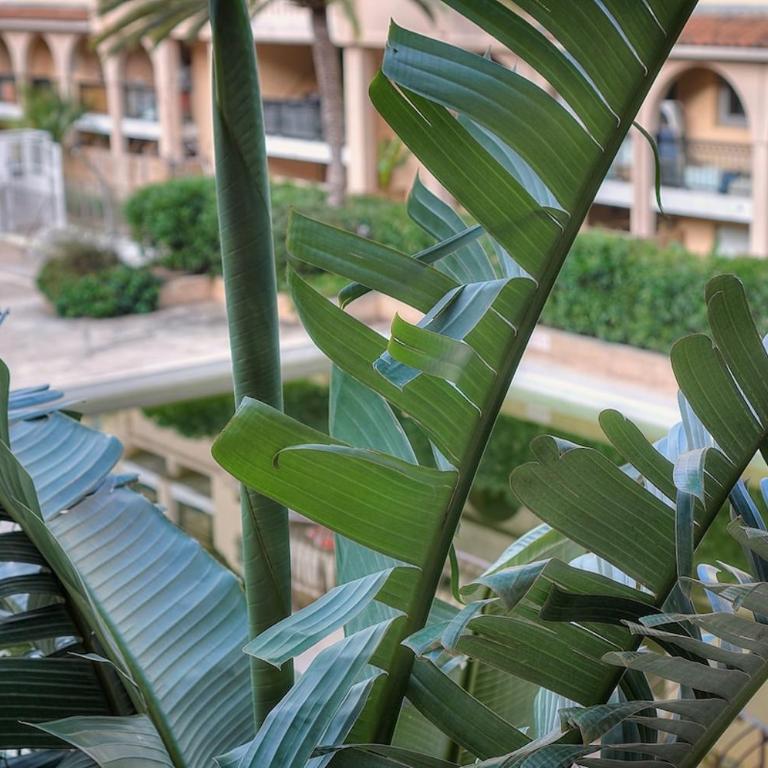Cannes Beach 221 - Appartement 1 Chambre - 9