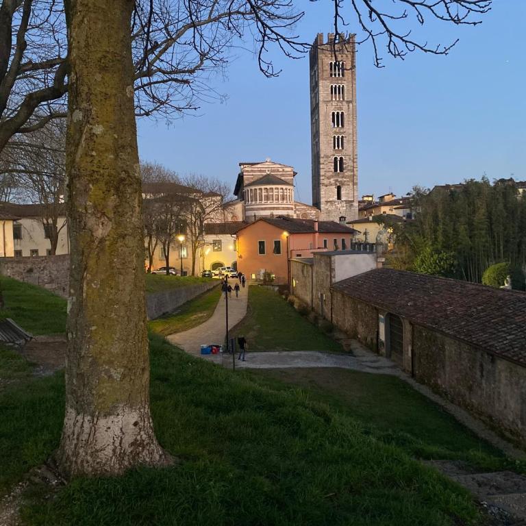 Il Cantuccio - Appartamento Monolocale con 1 Letto Matrimoniale - 16