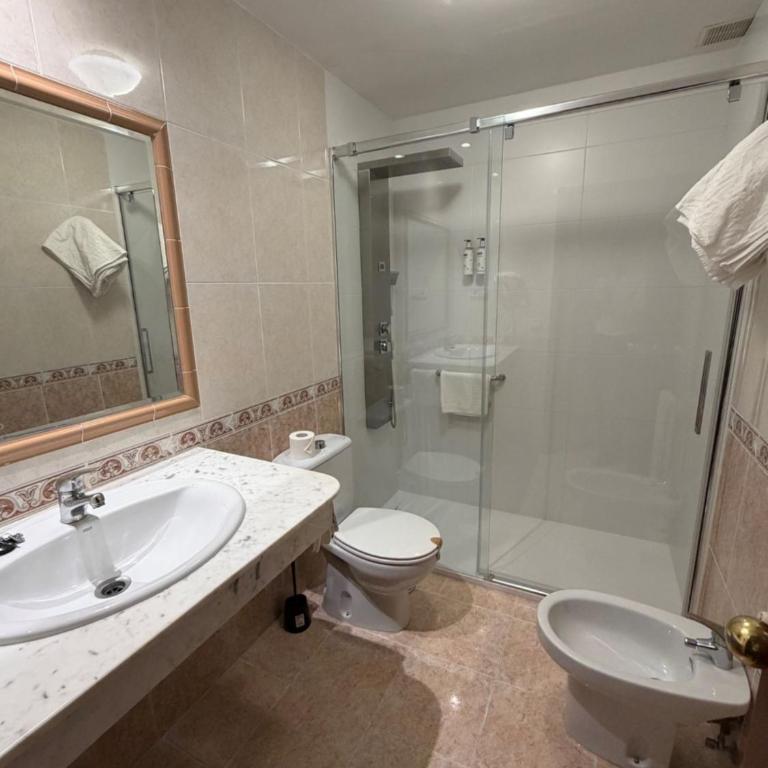 Hotel Riveiro - Habitación Doble - 1 o 2 camas - 4