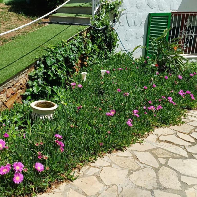 Ferienwohnung mit Privat-Pool - Apartamento de 2 dormitorios - 32