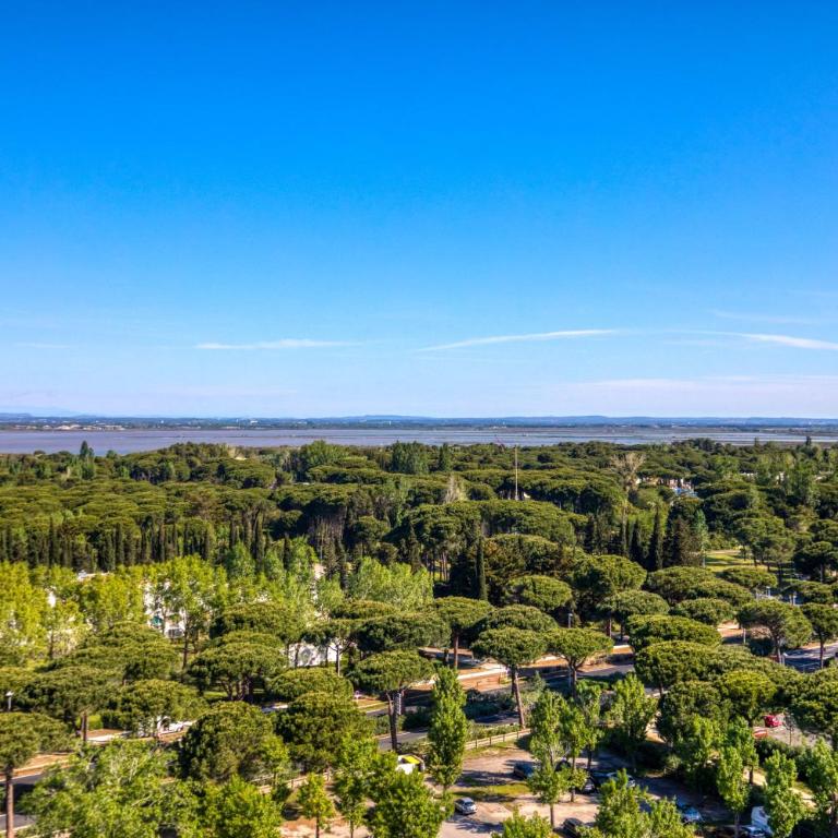 Le Panoramique à la Grande Pyramide - Apartment mit 3 Schlafzimmern und Blick auf das Wasser - 26