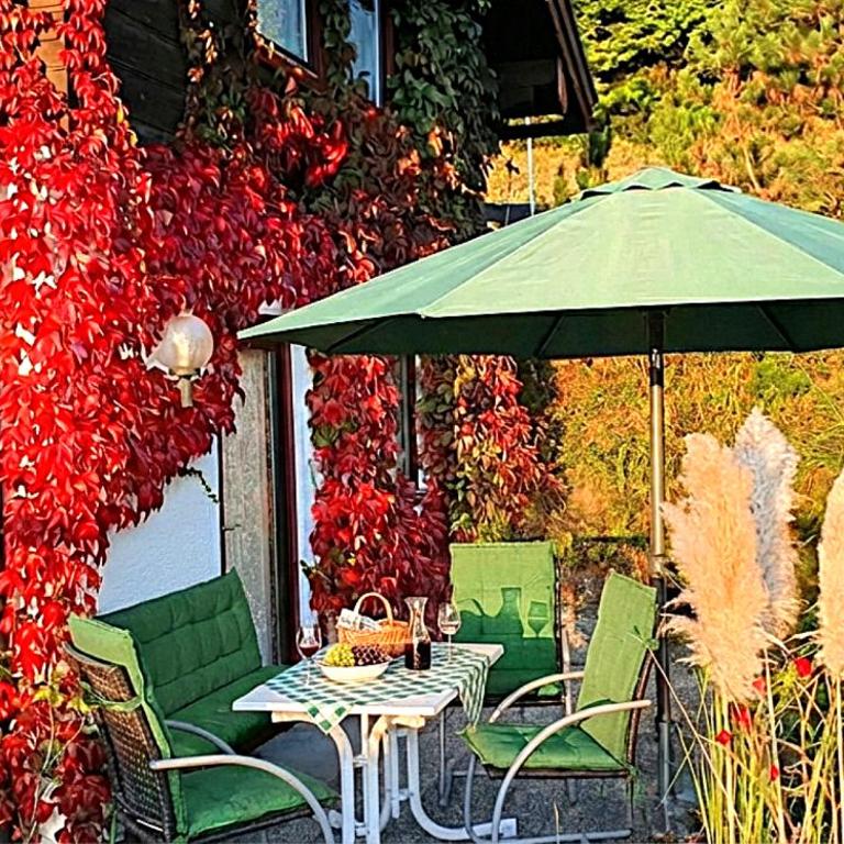 4 Bergpanorama mit herrlicher alpinen Almlandschaft für absolute Nichtraucher - Apartment mit 1 Schlafzimmer - 9