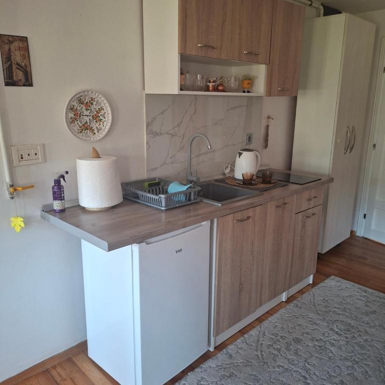 RUMA Apartmani Old Town - Apartman sa 1 Spavaćom Sobom - 5