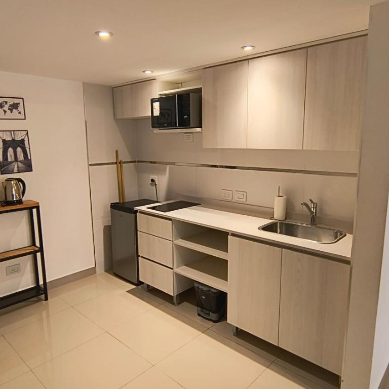 Vianzo BA San Telmo - One-Bedroom Apartment - 5