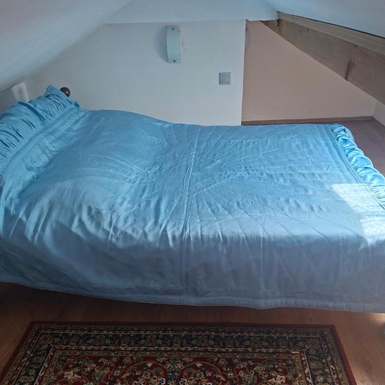 RUMA Apartmani Old Town - Apartman sa 1 Spavaćom Sobom - 9