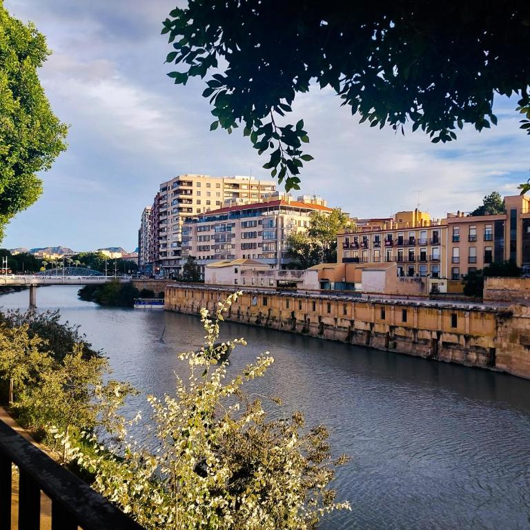 Apartamento Casa Picasso Murcia - Apartamento de 2 dormitorios - 23