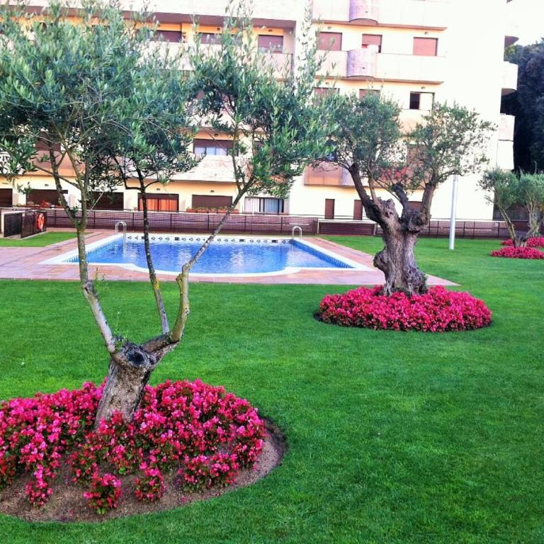 Arion Garden Apartment - Apartamento de 1 dormitorio - 18