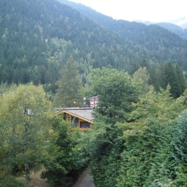 appartement cosy ambiance chalet, 3mn du centre - Apartment mit Balkon - 4