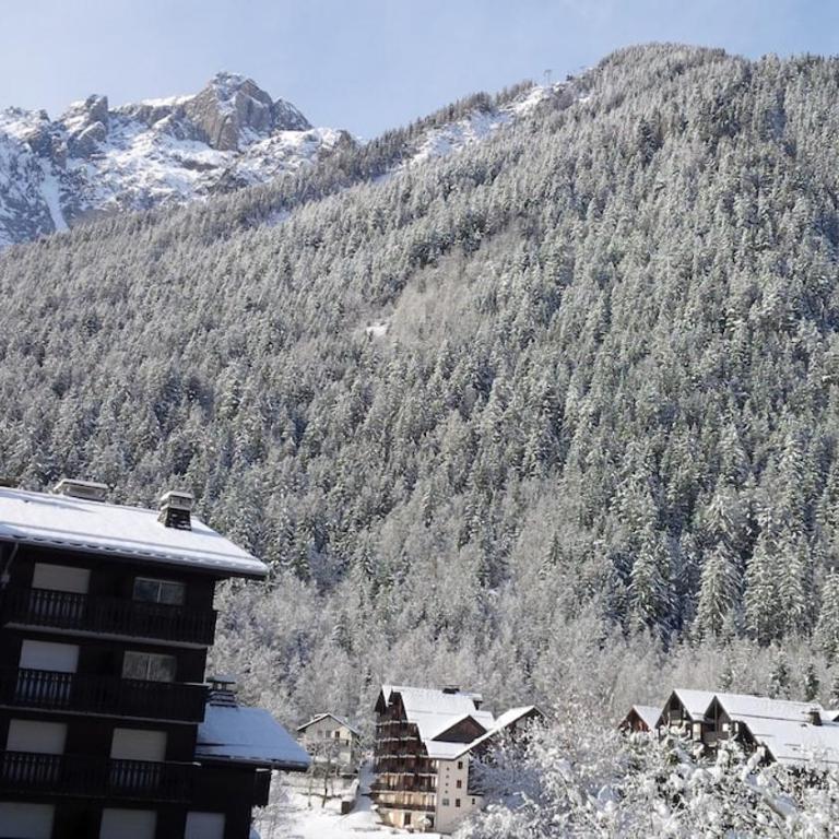 appartement cosy ambiance chalet, 3mn du centre - Apartment mit Balkon - 14