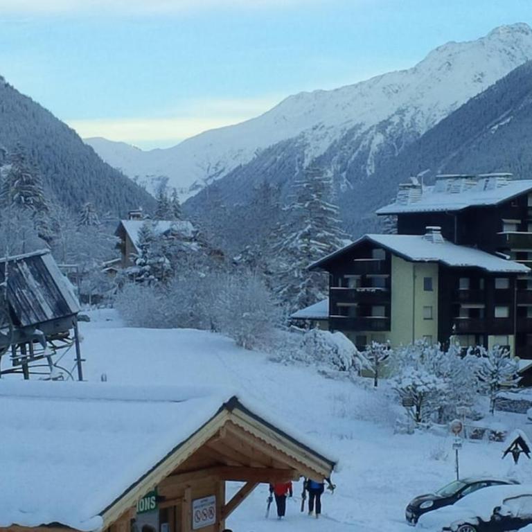 appartement cosy ambiance chalet, 3mn du centre - Apartment mit Balkon - 19