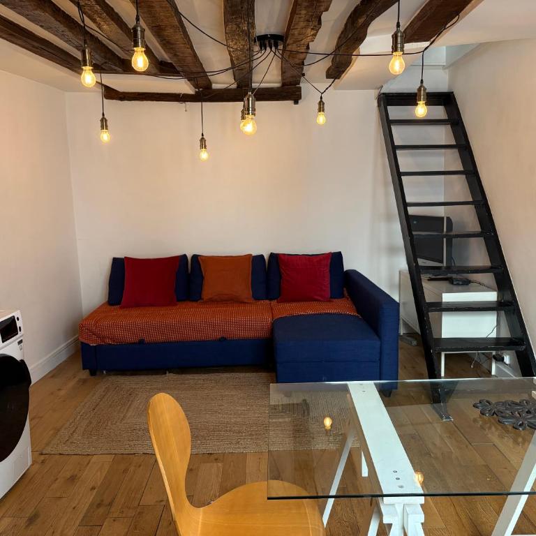 Studio sous les toits - Appartamento con 1 Camera da Letto - 4